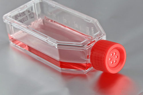 Dec9_2015_Fotolia_37224647_CellCultureFlask11072202311511291264