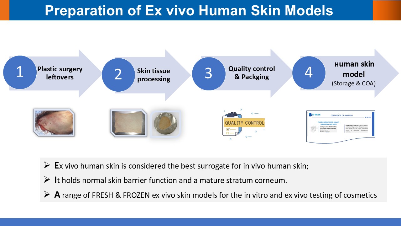 IBS PPT Ex vivo Human Skin Models V2022 IBS PPT Ex vivo Human Skin Models V2022
